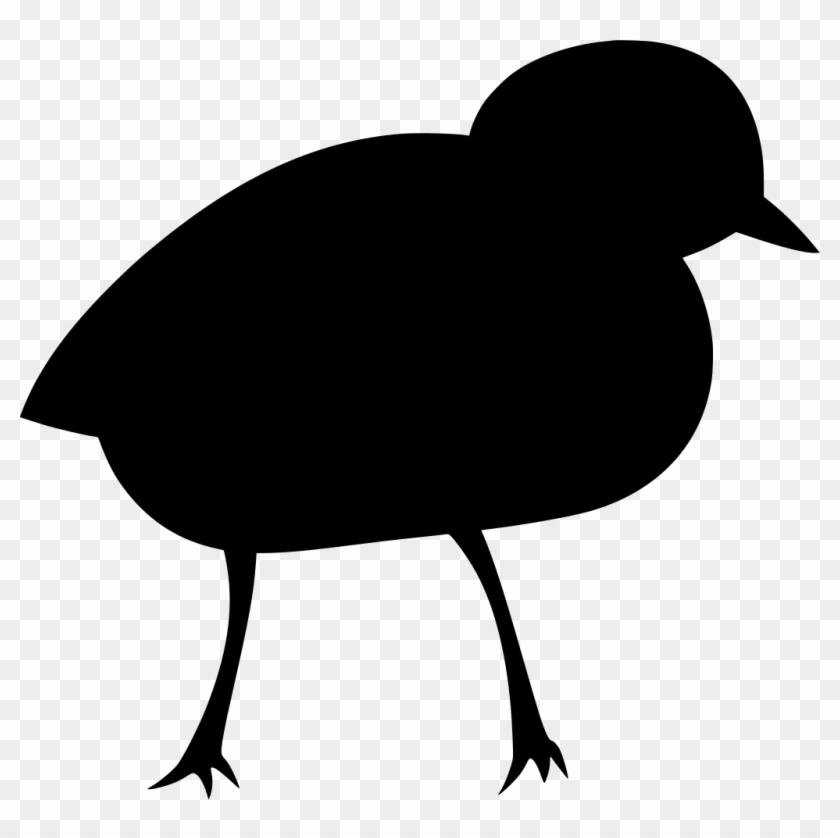 Info - Info #1576203