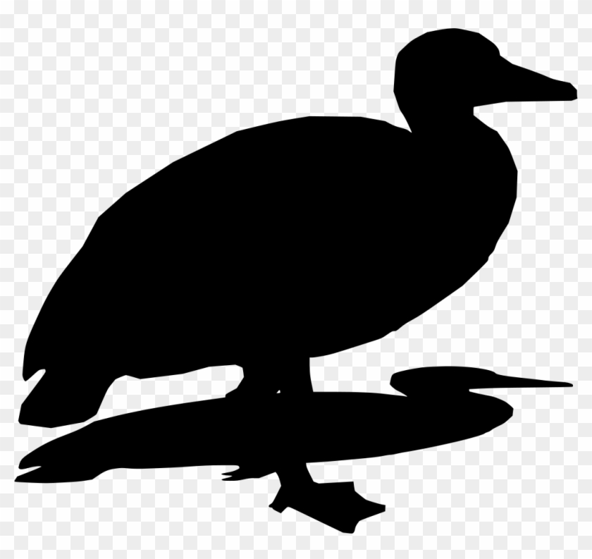 Info - Info #1576212