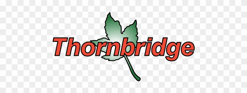 Cairngorm Capital Case Studies - Cairngorm Capital Case Studies #1576295