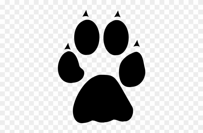 Paw Animal Cat Free - Paw Animal Cat Free #1576392