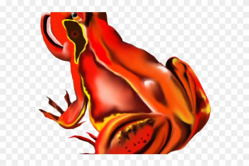 Frog Clipart Orange - Frog Clipart Orange #1576427