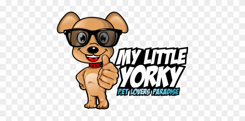 Little Yorky Little Yorky - Little Yorky Little Yorky #1576474