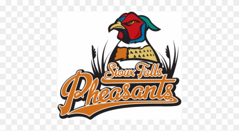 Sioux Falls Fighting Pheasants - Sioux Falls Fighting Pheasants #1576559