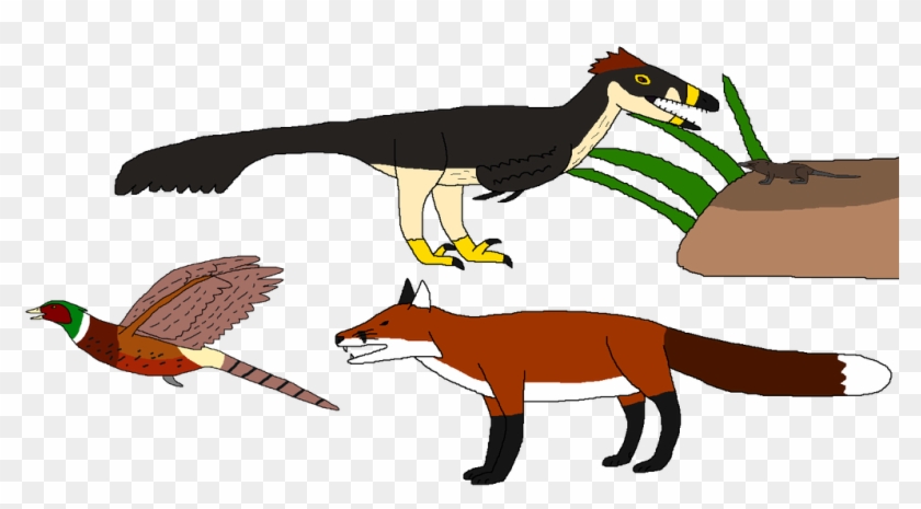 The Hunted Becomes The Hunter By Wildandnaturefan - The Hunted Becomes The Hunter By Wildandnaturefan #1576574