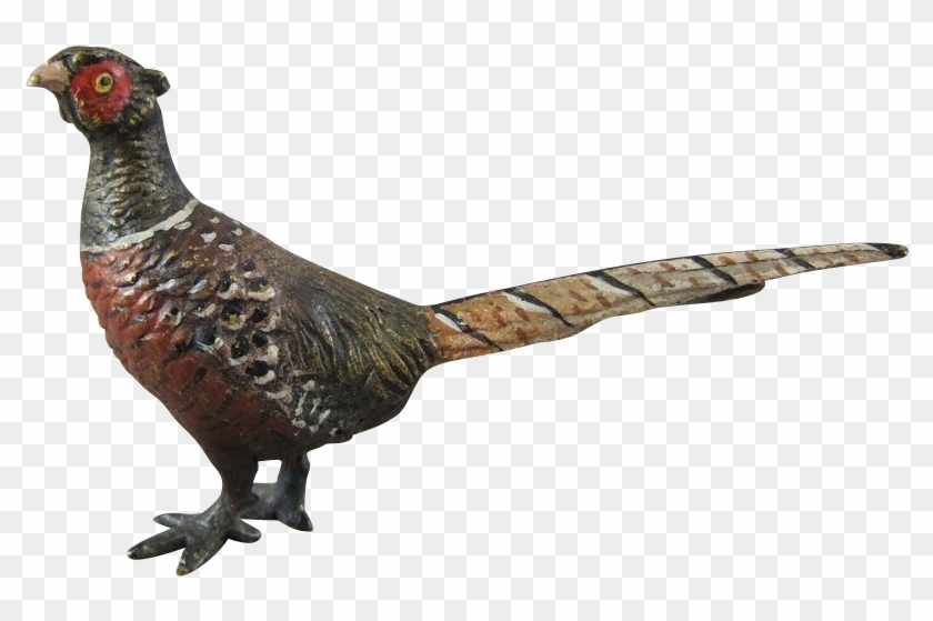 Pheasant Transparent Background - Pheasant Transparent Background #1576576