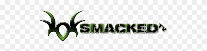 Smacked Tv Is Two Brothers Jared And Kyle Lott, Joined - Smacked Tv Is Two Brothers Jared And Kyle Lott, Joined #1576584
