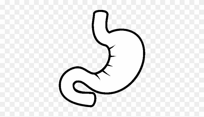 Stomach Black And White Coloring Pages - Stomach Black And White Coloring Pages #1576659