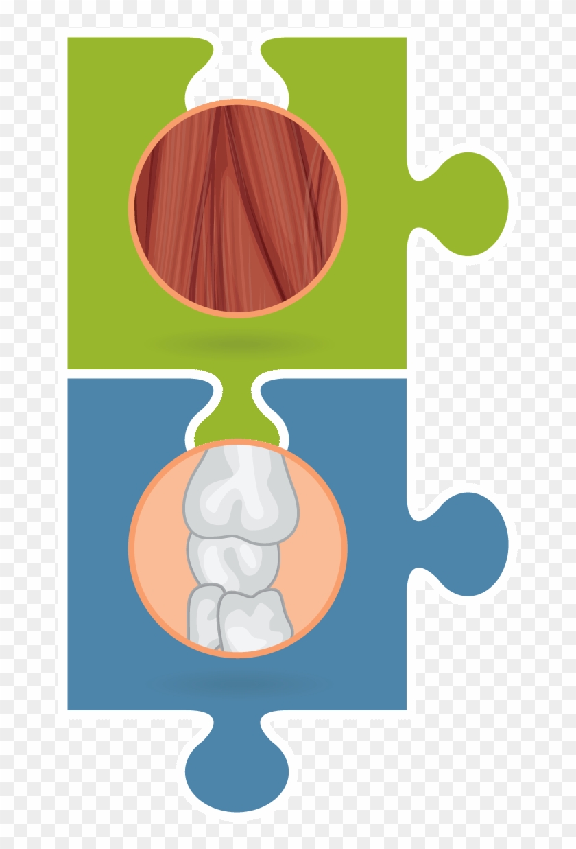 Muscles Clipart Musculoskeletal System - Muscles Clipart Musculoskeletal System #1576661