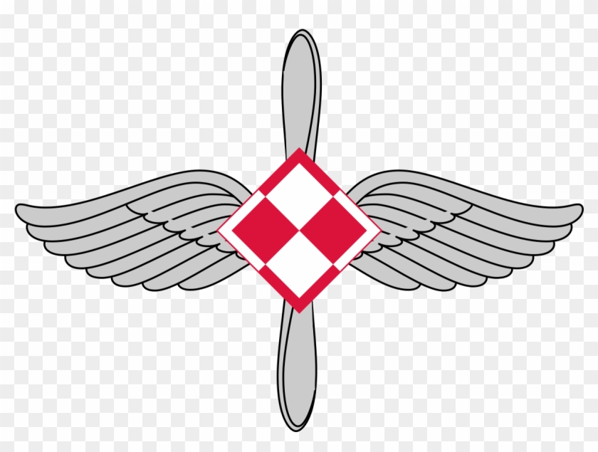 Polish Air Force Branch Insignia - Polish Air Force Branch Insignia #1576690