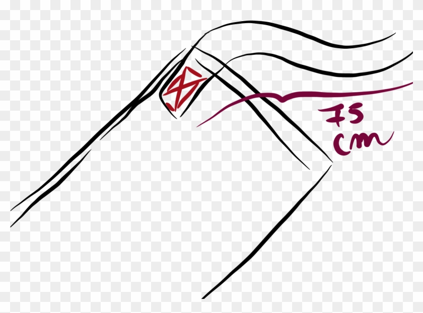 Tiras De La Parte Del Contorno Del Torso - Tiras De La Parte Del Contorno Del Torso #1576728