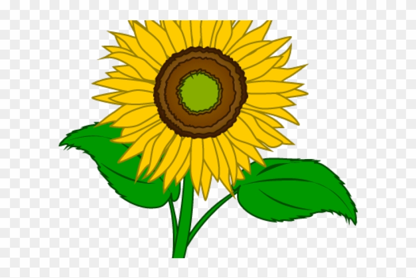 Sun Flower Clipart - Sun Flower Clipart #1577279