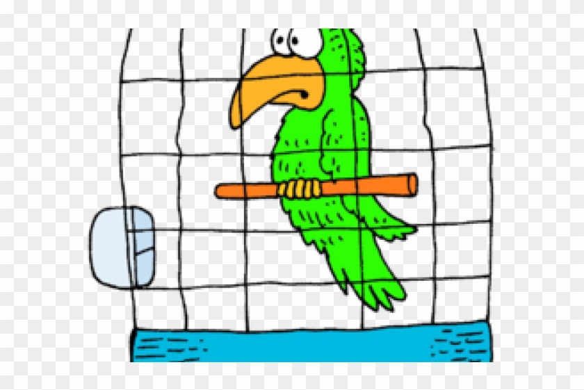 Cage Clipart Parrot - Cage Clipart Parrot #1577497