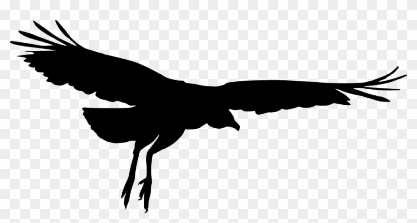 Free Png Download Transparent Eagle Wing Silhouette - Free Png Download Transparent Eagle Wing Silhouette #1577508 Free Png Download Transparent Eagle Wing Silhouette - Free Png Download Transparent Eagle Wing Silhouette #1577508