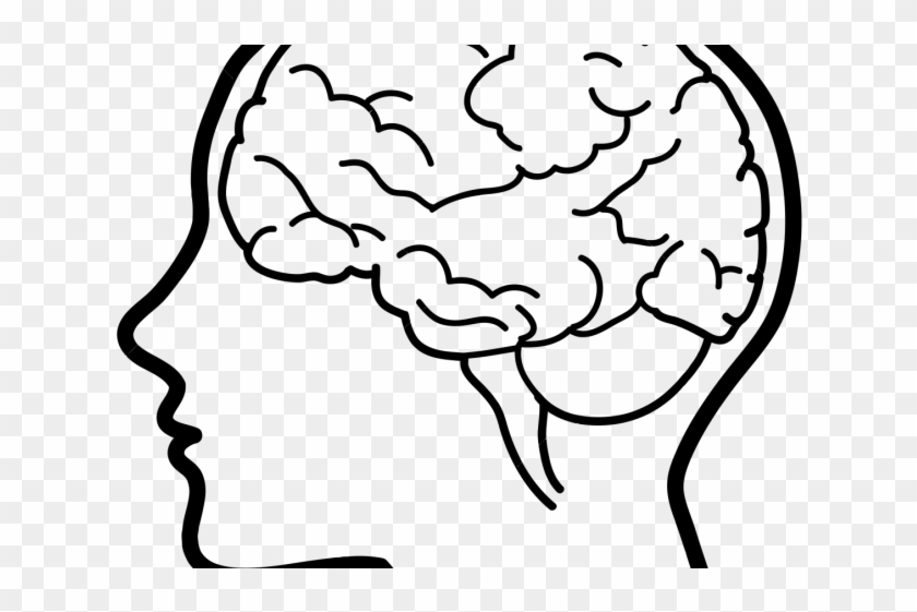Brains Clipart Line Art - Brains Clipart Line Art #1577586