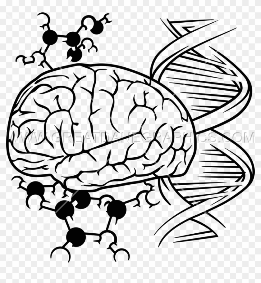 Dna Brain Cells - Dna Brain Cells #1577598