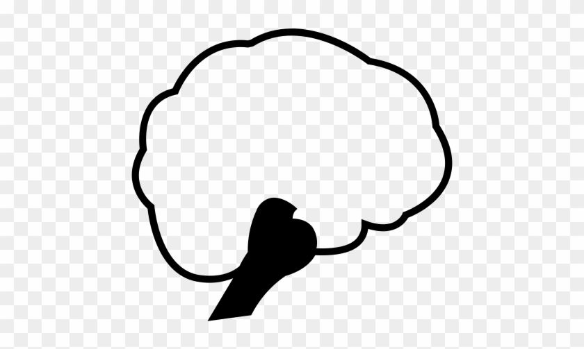 Brain, Head, Organs, Stem Icon, Shank Icon, Stem Character - Brain, Head, Organs, Stem Icon, Shank Icon, Stem Character #1577618