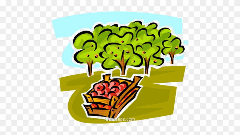Apple Orchard Royalty Free Vector Clip Art Illustration - Apple Orchard Royalty Free Vector Clip Art Illustration #1577705