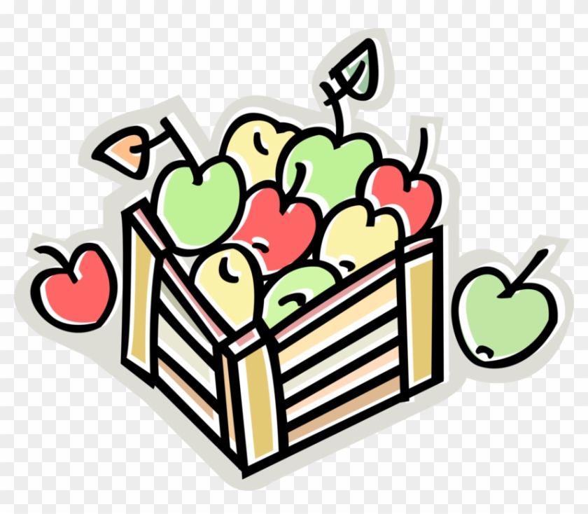 Vector Illustration Of Apple Orchard Harvest Crate - Vector Illustration Of Apple Orchard Harvest Crate #1577718