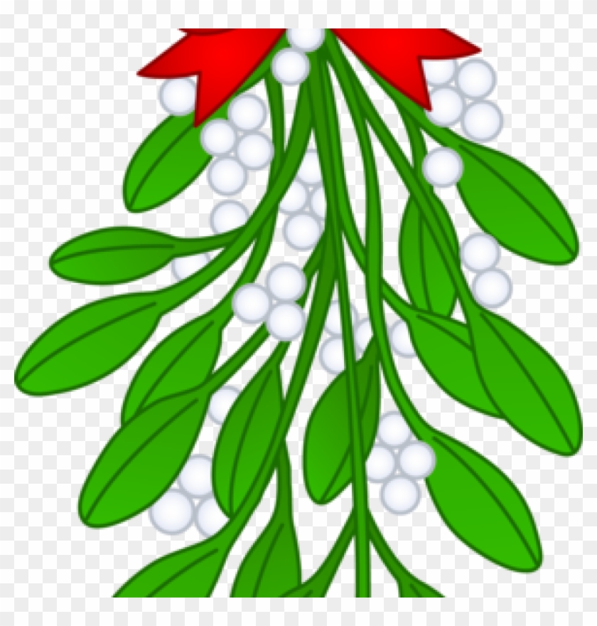 Free Mistletoe Clipart Christmas Mistletoe With Red - Free Mistletoe Clipart Christmas Mistletoe With Red #1578038