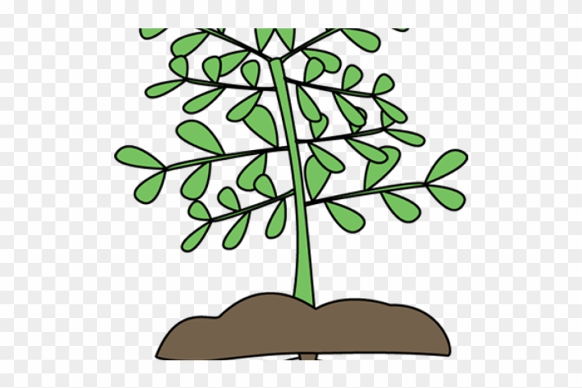 Tree Clipart Clipart Nursery Tree - Tree Clipart Clipart Nursery Tree #1578114