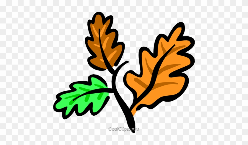 Autumn Leaves Royalty Free Vector Clip Art Illustration - Autumn Leaves Royalty Free Vector Clip Art Illustration #1578236