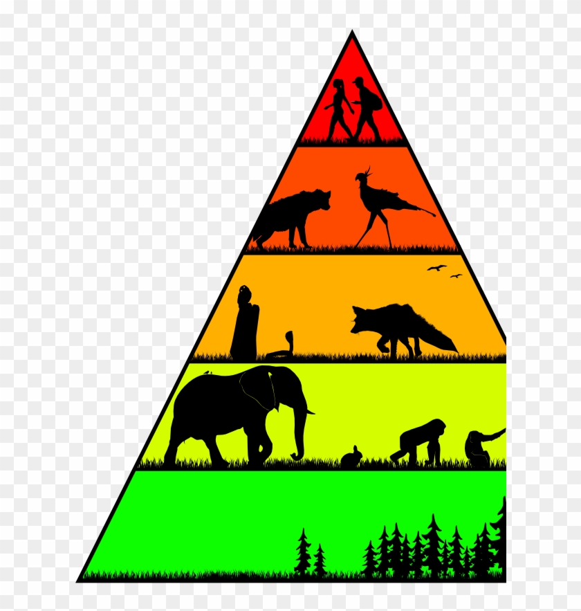 Food Chains In The Wild For Worldbuilding Magazine - Food Chains In The Wild For Worldbuilding Magazine #1578263