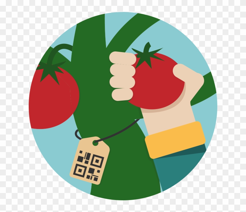 The Producer Collects And Selects The Raw Material - The Producer Collects And Selects The Raw Material #1578268