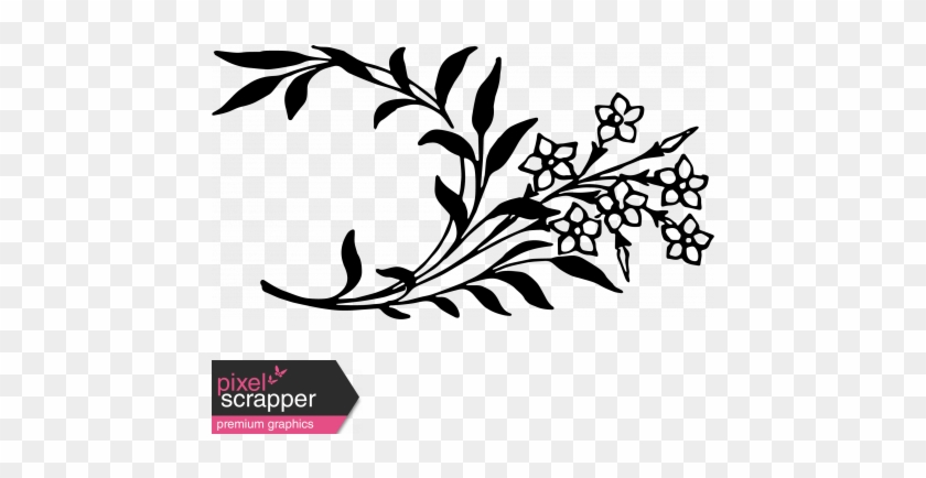 Vintage Images - Flower - Vintage Images - Flower #1578455