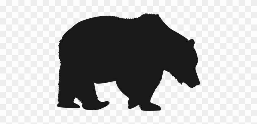 Oso Polar Png - Oso Polar Png #1578646