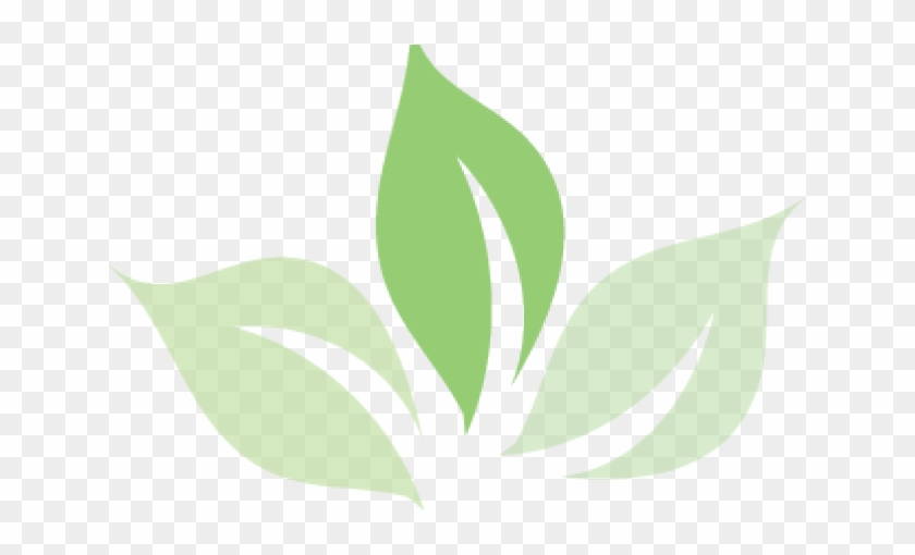 Green Tea Clipart Tea Logo - Green Tea Clipart Tea Logo #1578649