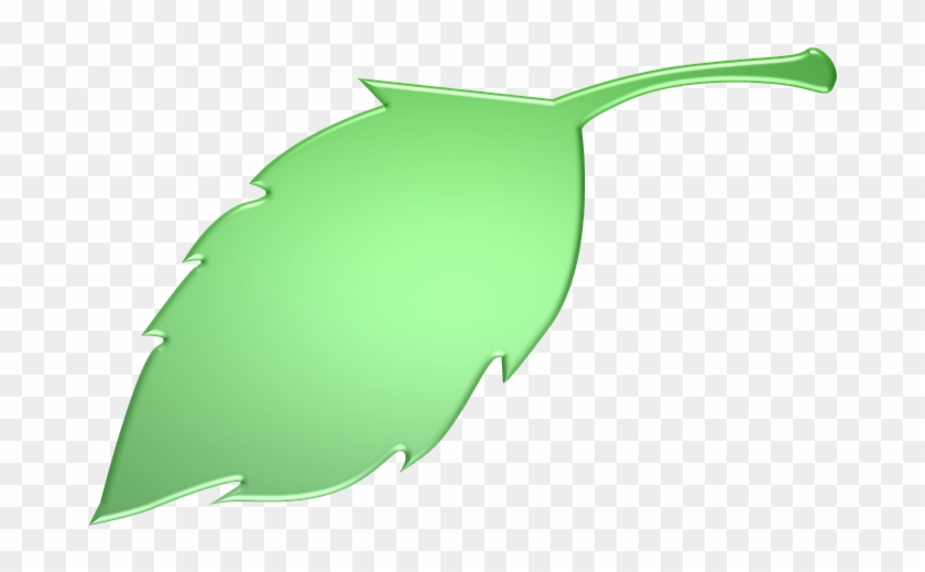 Green Leaves Clipart Long Leaf - Green Leaves Clipart Long Leaf #1578678