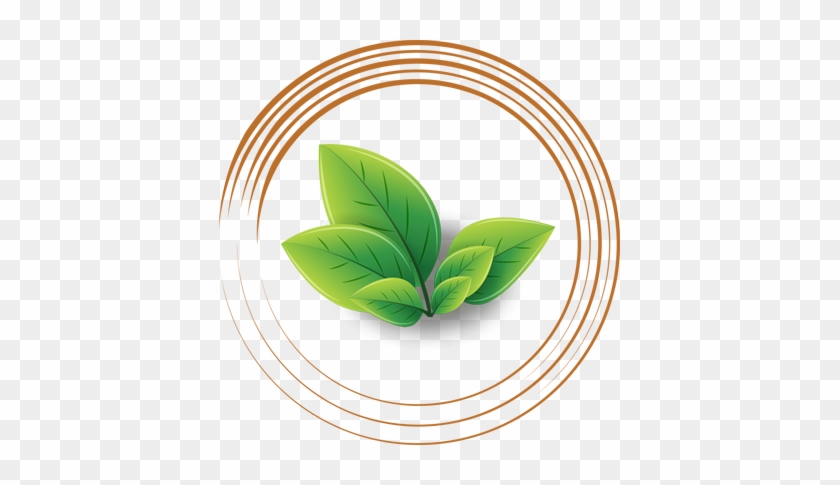 Explore Loose Leaf Tea - Explore Loose Leaf Tea #1578686