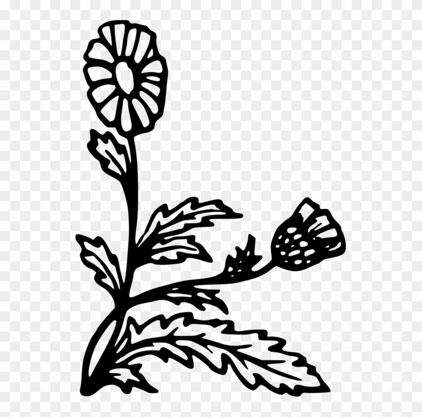 Floral Design Flowering Plant Computer Icons Plant - Floral Design Flowering Plant Computer Icons Plant #1579032