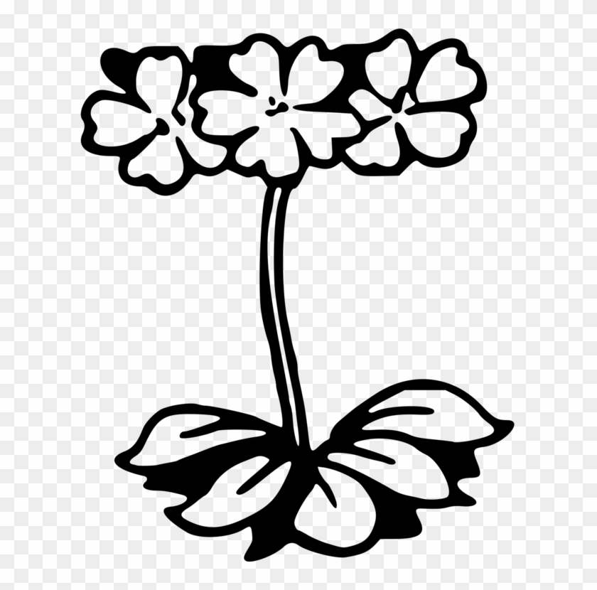 Floral Design Cut Flowers Petal Plants - Floral Design Cut Flowers Petal Plants #1579039