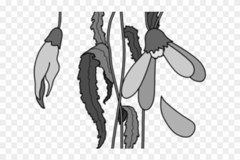 Dead Tree Clipart Died - Dead Tree Clipart Died #1579190