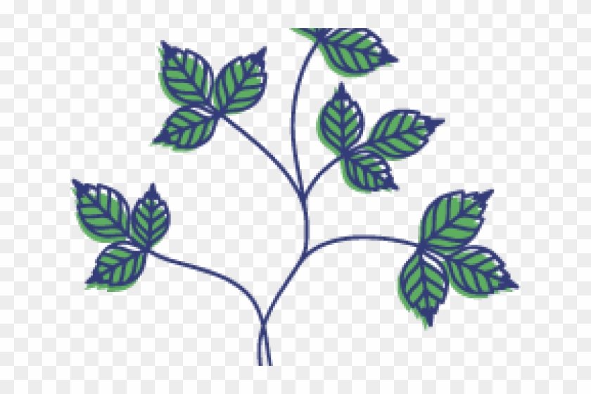 Drawn Vine Poison Ivy Vine - Drawn Vine Poison Ivy Vine #1579492