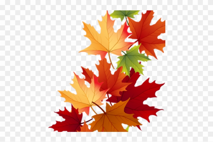 Maple Leaf Clipart Autumn Theme - Maple Leaf Clipart Autumn Theme #1579776