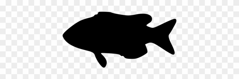 Blacksmith Picture - Blacksmith Picture #1579868