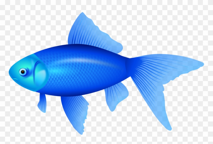 Sensational Picture Of A Fish Blue Png Clipart Image - Sensational Picture Of A Fish Blue Png Clipart Image #1579869