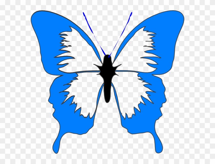 Blue - Butterfly - Clipart - Butterfly Black And White Clipart #244366