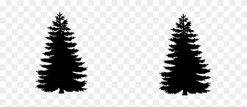 Sapin Clip Art - Black And White Pine Tree Clip Art #244407