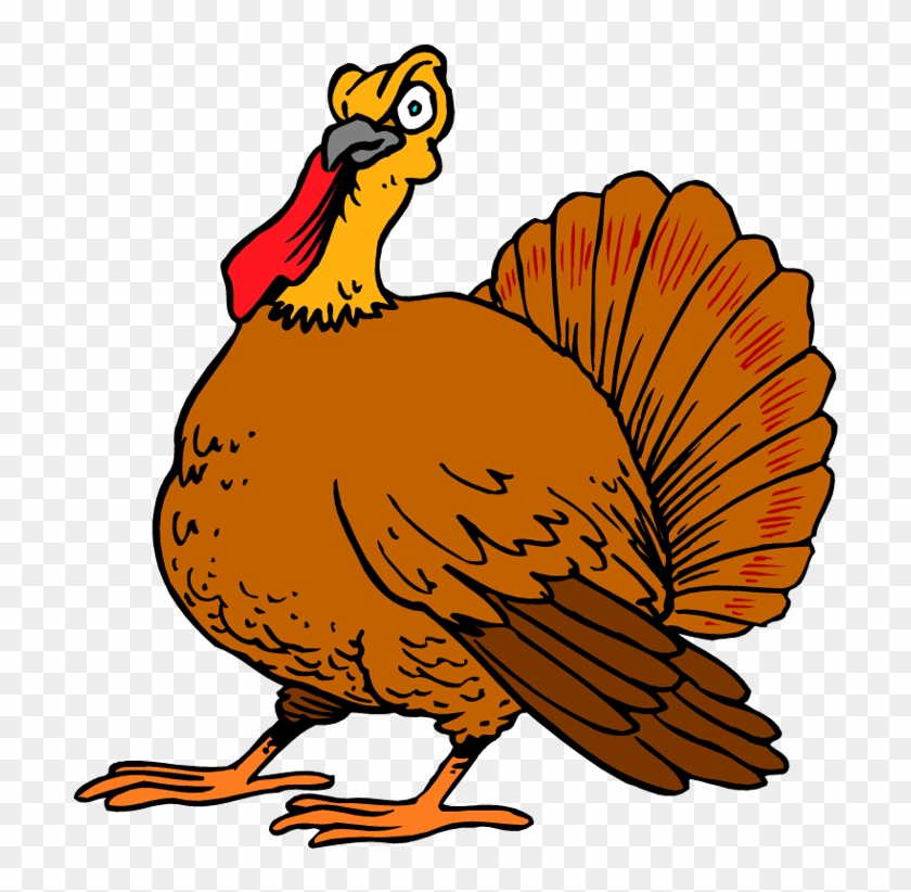 Free Turkey Clipart - Turkey Cartoons #244437