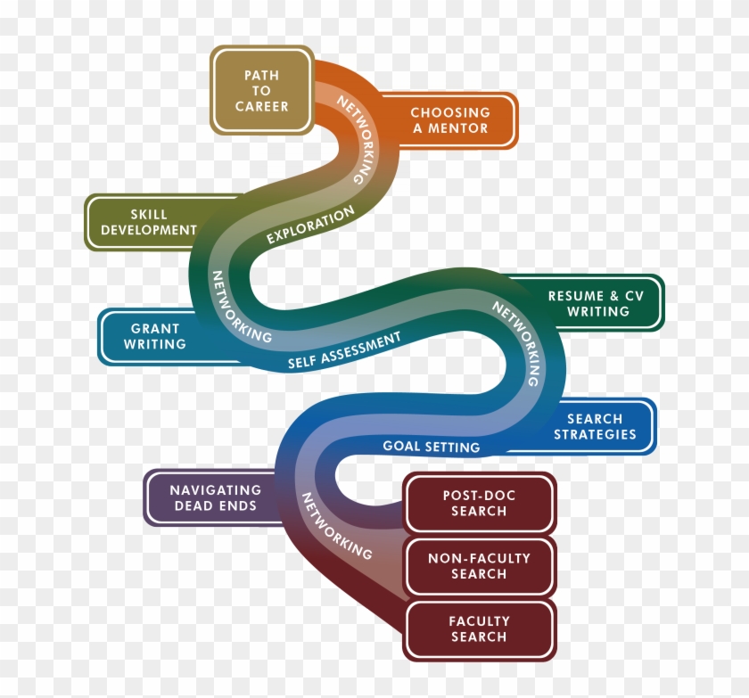 Career Pictures - Path To A Phd #244490