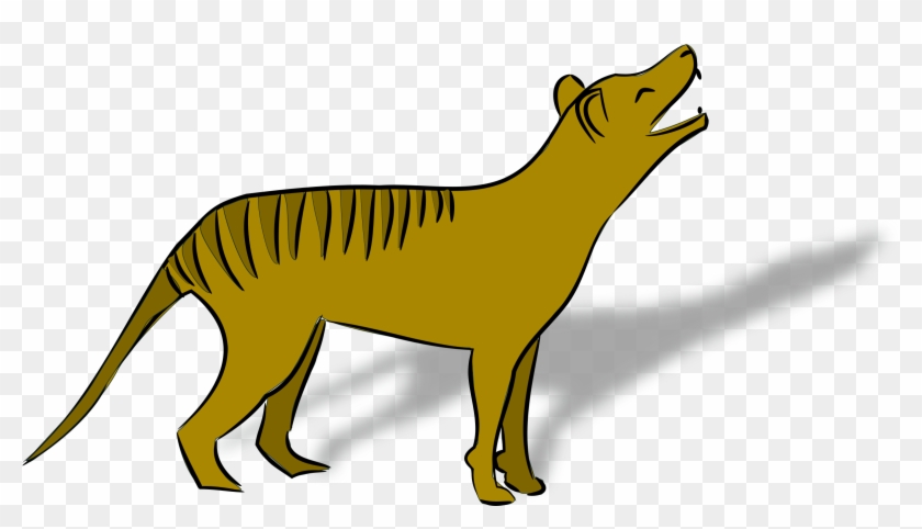 10 Tasmanian Tiger Facts - Cute Clip Art Austraian Animals #245004