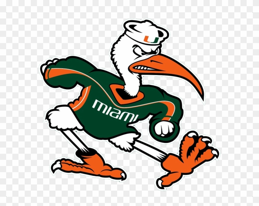 Miami Hurricanes Cliparts - University Of Miami Mascot #245080