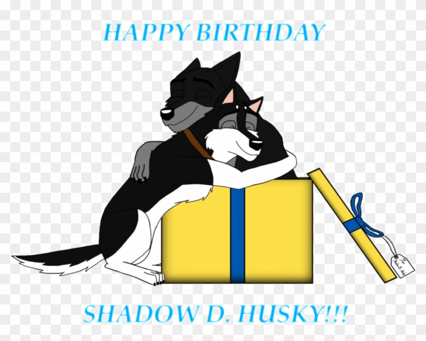 Happy Birthday Shadow D - February 7 #246365