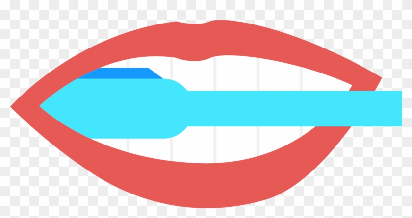 Toothbrush Tooth Brushing Cartoon - Brushing Teeth Vector #246798