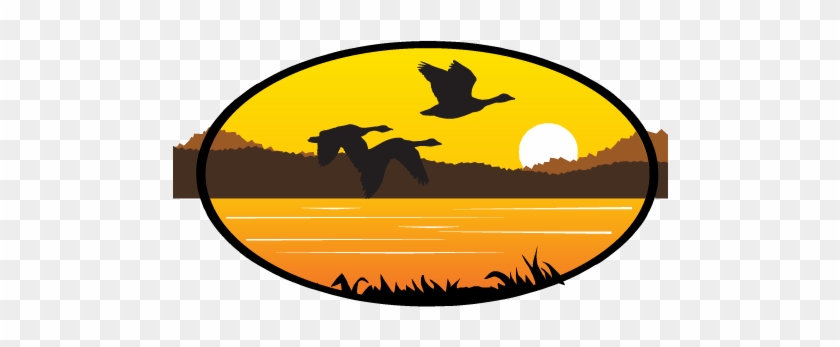 Program Spotlight - Program Spotlight #1580633