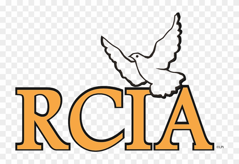 St John Sacred Heart Home Page, N369 Military Rd - St John Sacred Heart Home Page, N369 Military Rd #1580835