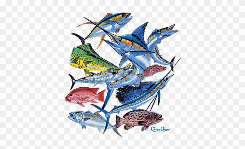 Saltwater Fish Collage - Saltwater Fish Collage #1581526